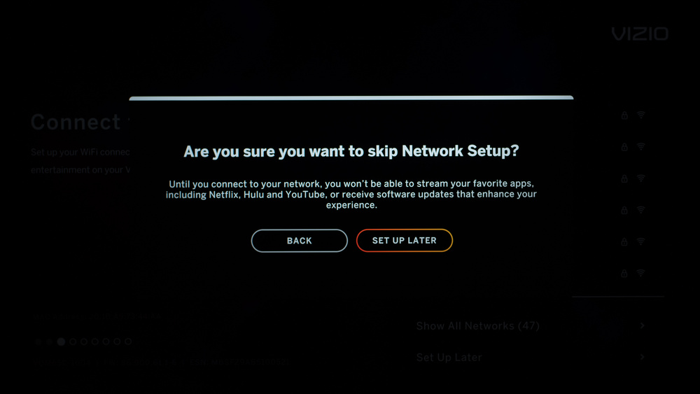 Confirm that you want to skip network setup.