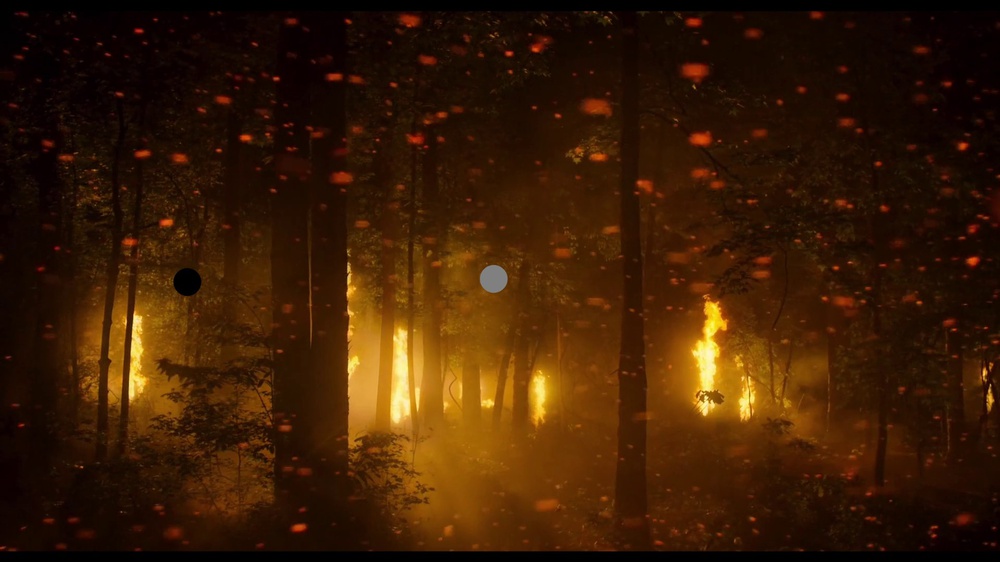 A forest fire scene from the movie Civil War overlayed with two 0.1% APL measurement patches. One black and one 50% gray patch.