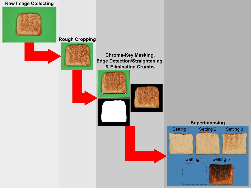 General overview of the automated process for the collection of photographs and extraction of toast images for creating montages.