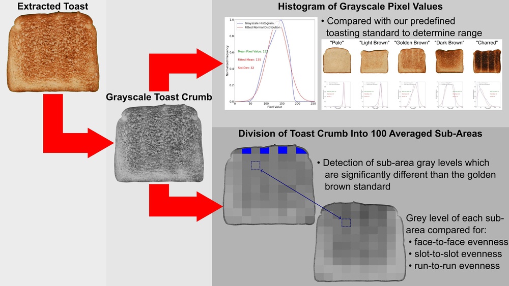 General overview of the automated process for the extraction of numerical results from the collected toast photographs.