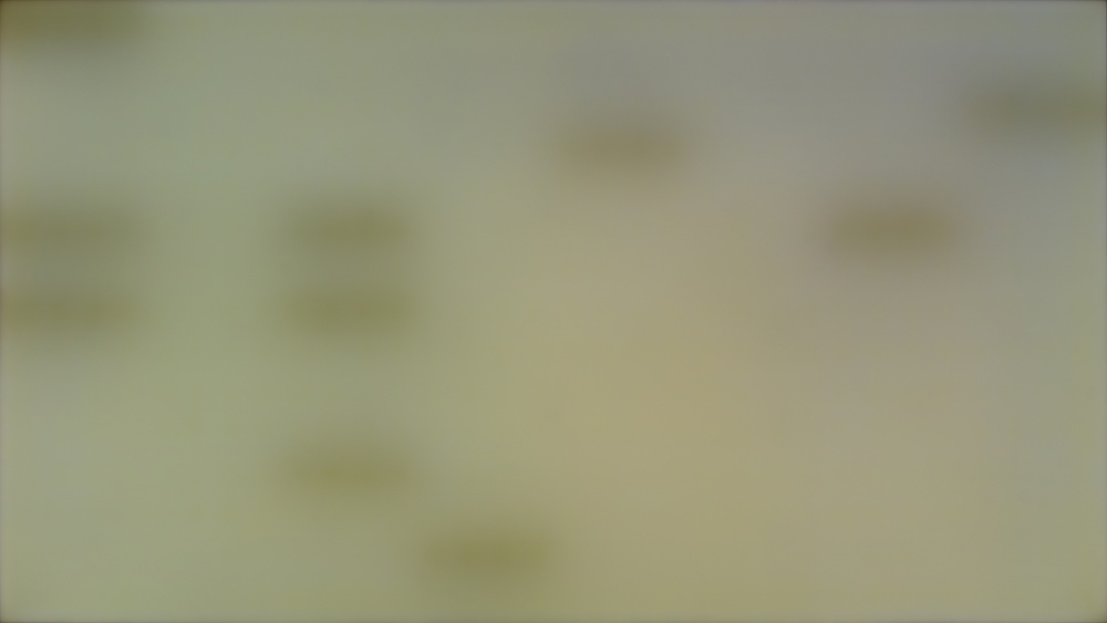 A gray uniformity slide showing multiple dark spots on the Hisense U9DG