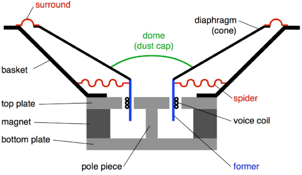 A diagram of a speaker driver, showing components such as the voice coil and cone.