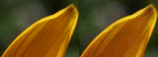Example of artifacts for the same resolution depending on the compression